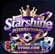 星耀国际